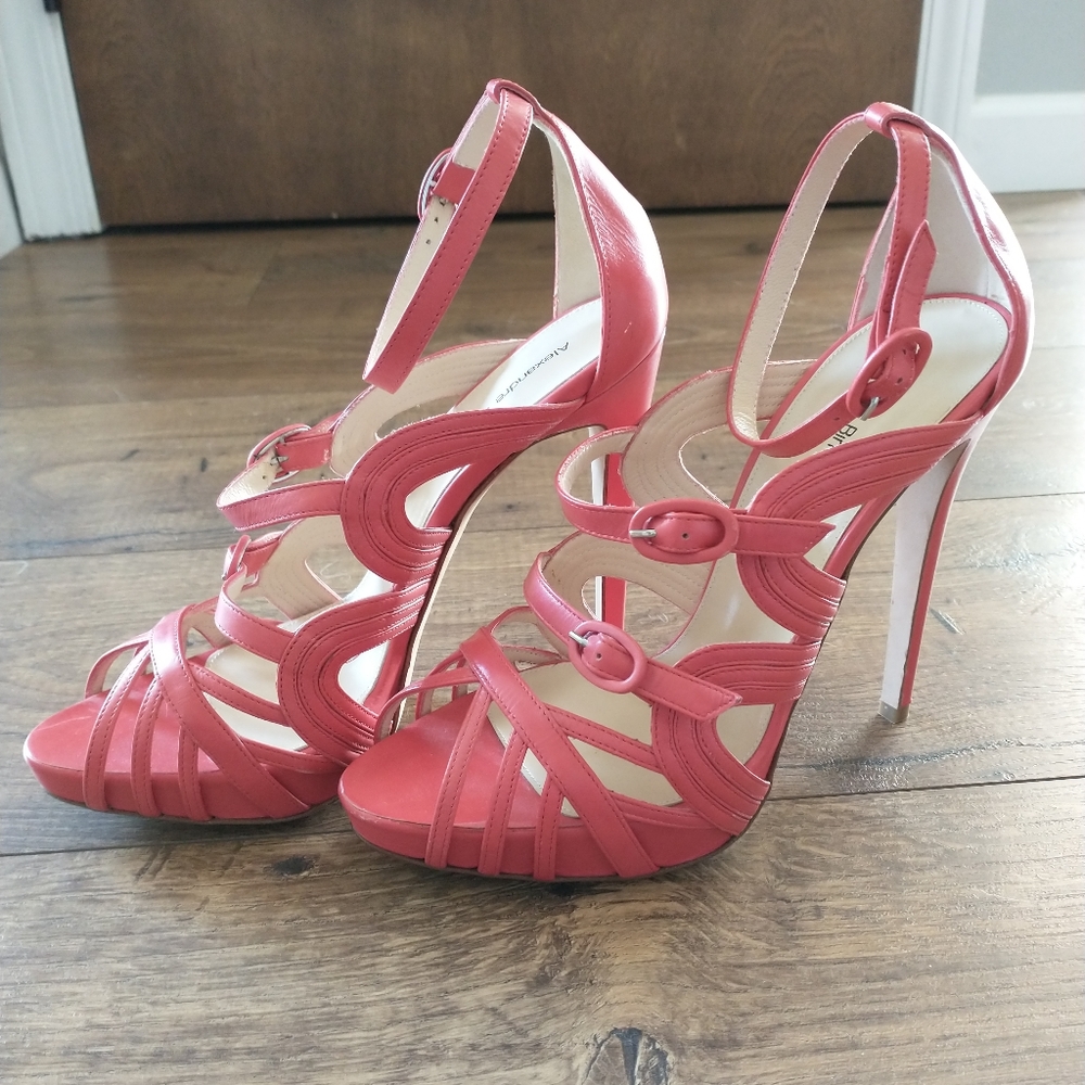 Alexandre Birman Shoes